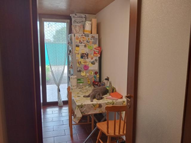 Appartamento in affitto a Padova