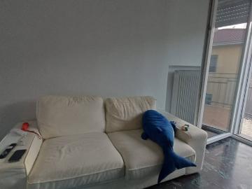 Appartamento in affitto a Padova PD