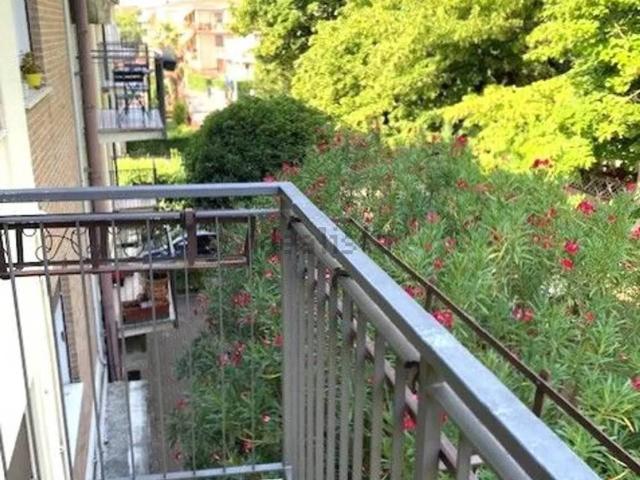 Appartamento in affitto a Padova PD
