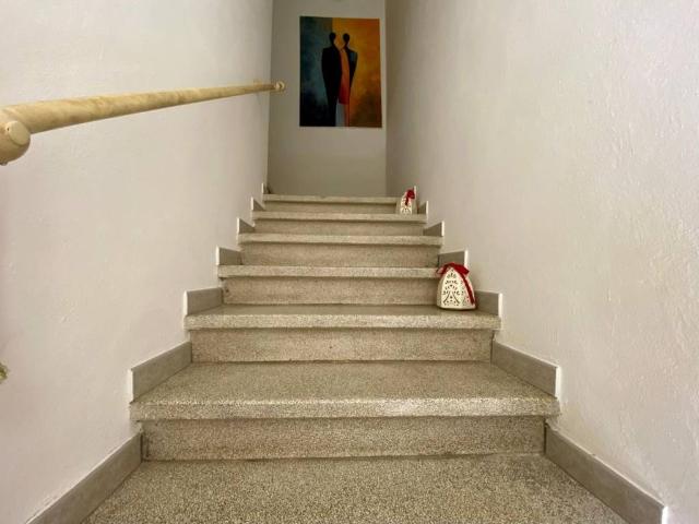 Appartamento in affitto a Palaia PI