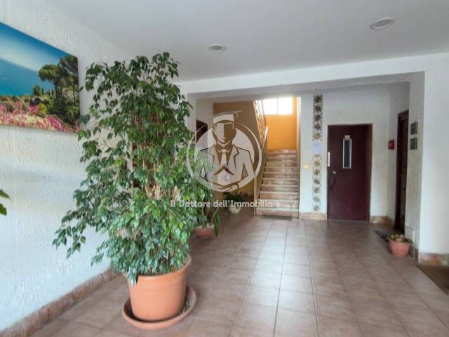 Appartamento in affitto a Palermo PA