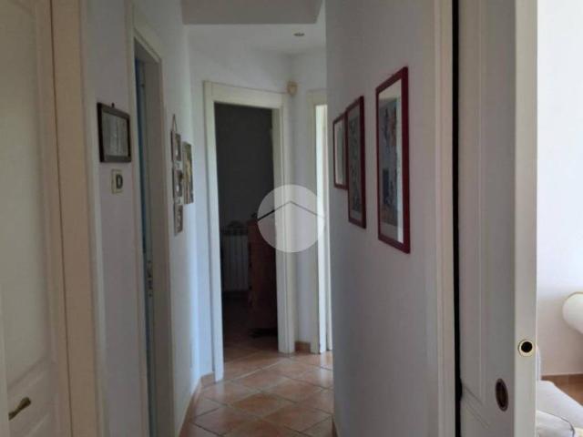Appartamento in affitto a Palermo PA