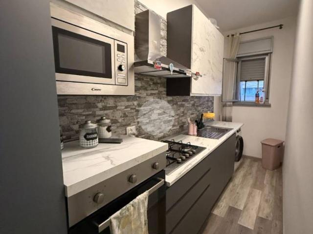 Appartamento in affitto a Palermo PA