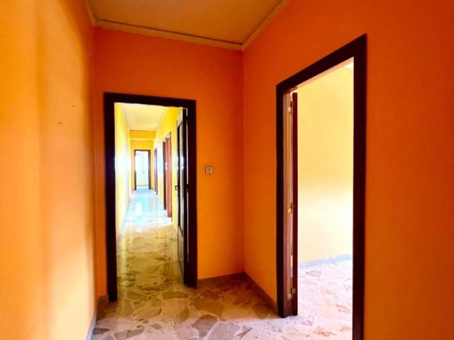 Appartamento in affitto a Palermo PA