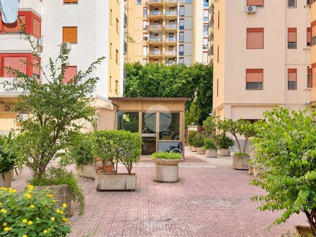 Appartamento in affitto a Palermo PA