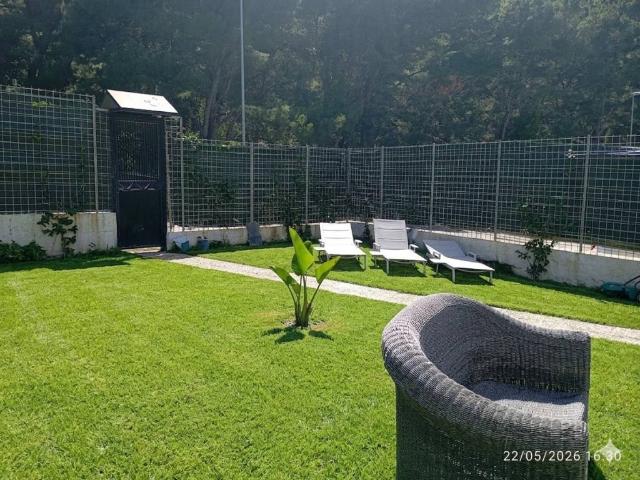 Appartamento in affitto a Palermo PA