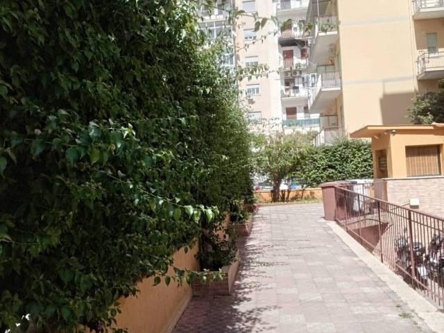 Appartamento in affitto a Palermo PA
