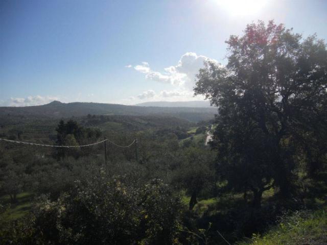 Appartamento in affitto a Panicale PG