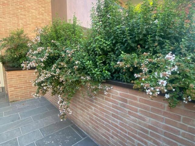 Appartamento in affitto a Parma PR
