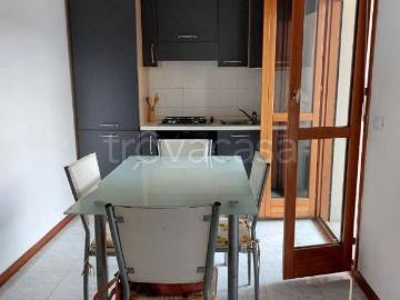 Appartamento in affitto a Parma via Luigi Vigotti, arredato, terrazzo, balcone TrovaCasa