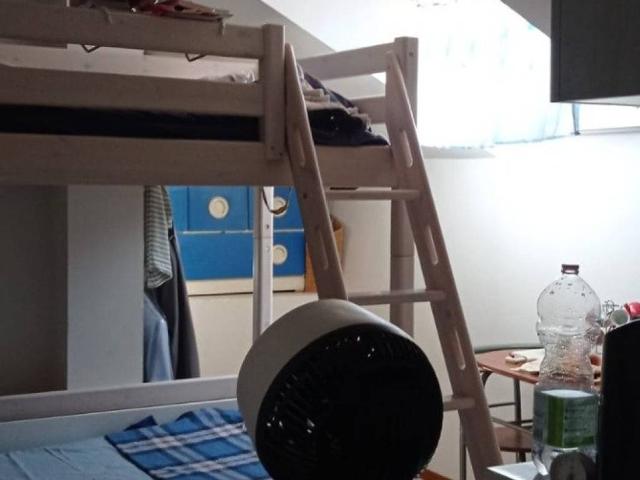 Appartamento in affitto a Pavia PV