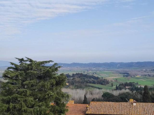 Appartamento in affitto a Peccioli PI