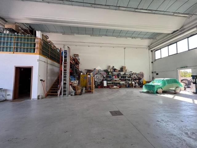 Appartamento in affitto a Pegognaga MN