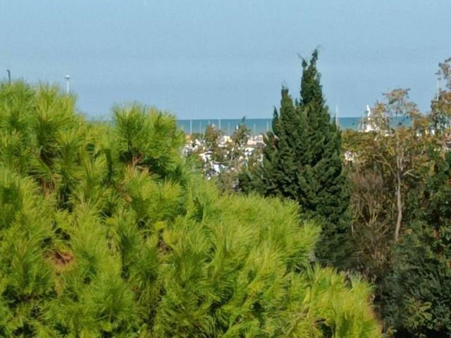 Appartamento in affitto a Pesaro PU