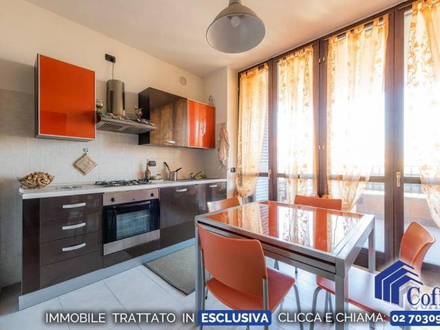 Appartamento in affitto a Peschiera Borromeo MI