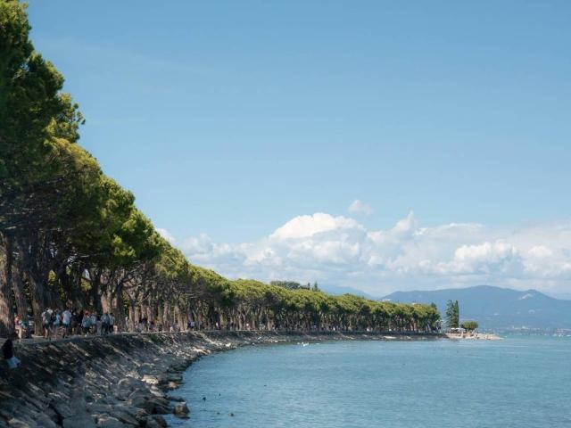 Appartamento in affitto a Peschiera del Garda VR