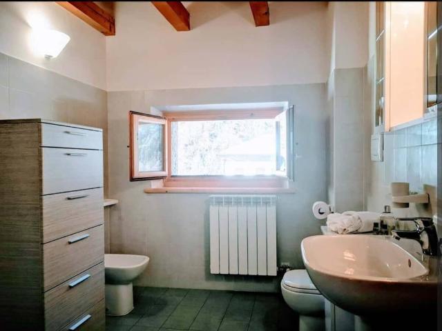 Appartamento in affitto a Perarolo di Cadore BL