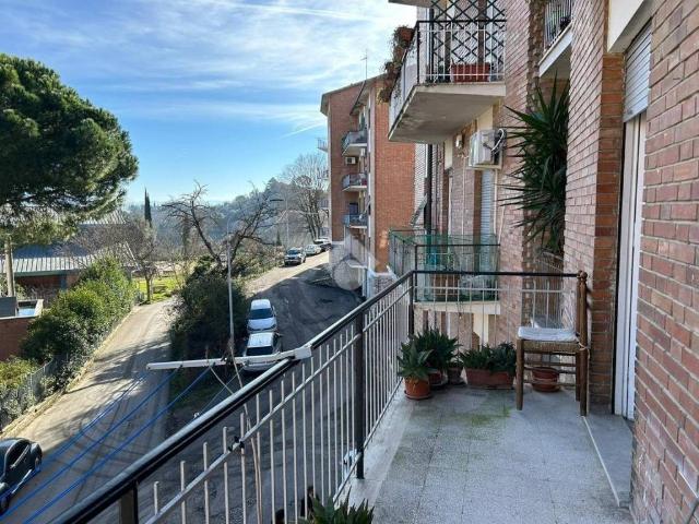 Appartamento in affitto a Perugia PG
