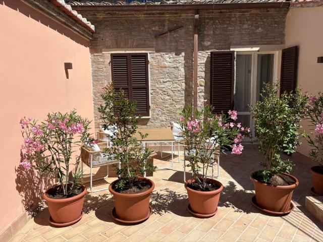 Appartamento in affitto a Perugia PG