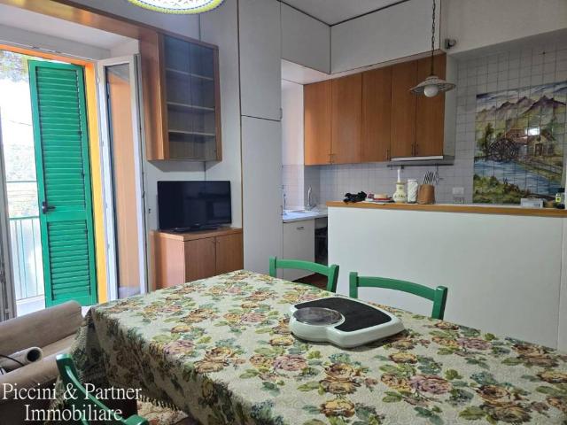 Appartamento in affitto a Perugia PG
