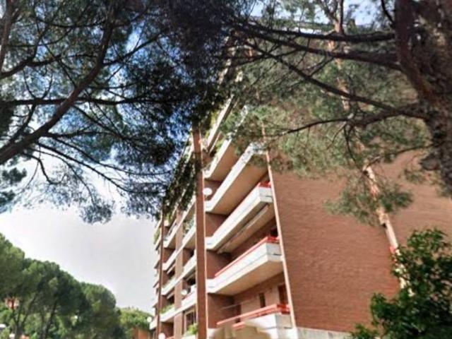 Appartamento in affitto a Perugia PG