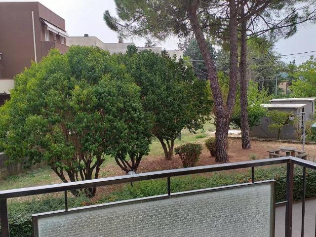 Appartamento in affitto a Perugia PG