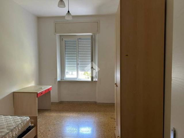 Appartamento in affitto a Perugia PG
