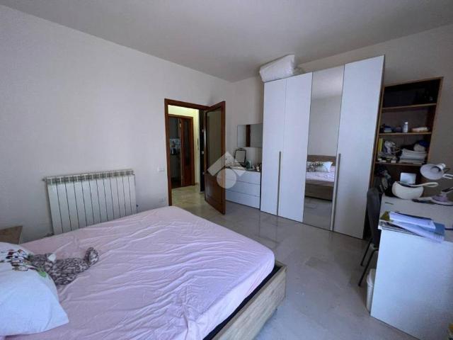 Appartamento in affitto a Perugia PG