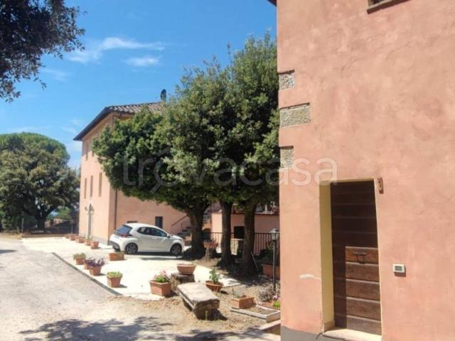 Appartamento in affitto a Perugia viale Orazio Antinori, 30, arredato, ultimo piano, ingresso indipendente TrovaCasa