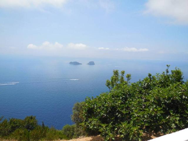 Appartamento in affitto a Piano di Sorrento NA