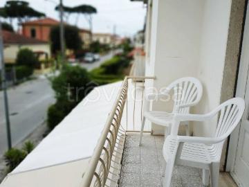 Appartamento in affitto a Pietrasanta, arredato, ultimo piano, lavatrice TrovaCasa