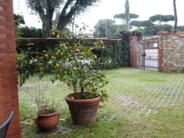 Appartamento in affitto a Pietrasanta, giardino, posto auto, lavatrice TrovaCasa