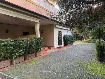 Appartamento in affitto a Pietrasanta LU