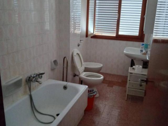Appartamento in affitto a Pisa