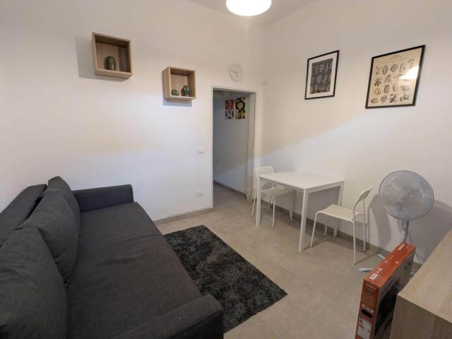 Appartamento in affitto a Pisa