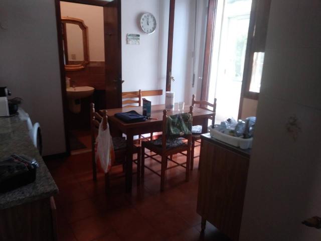 Appartamento in affitto a Pisa