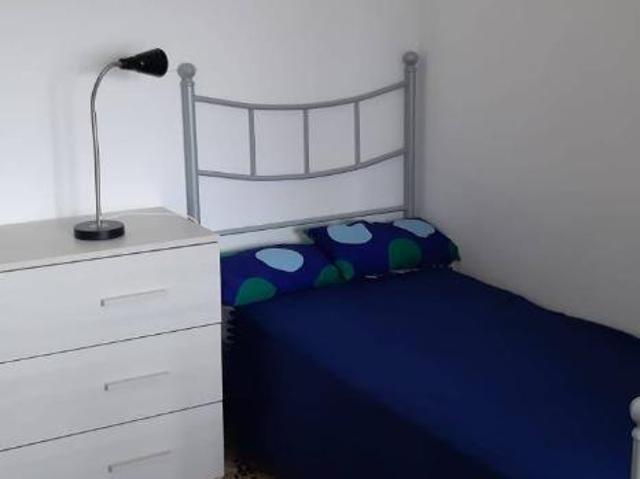 Appartamento in affitto a Pisa