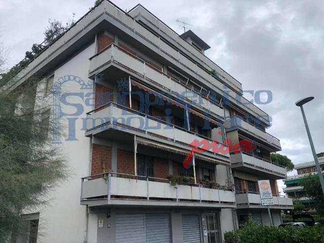 Appartamento in affitto a Pisa PI