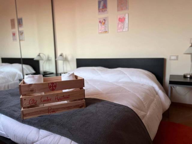 Appartamento in affitto a Pisa PI