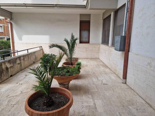 Appartamento in affitto a Pisa PI