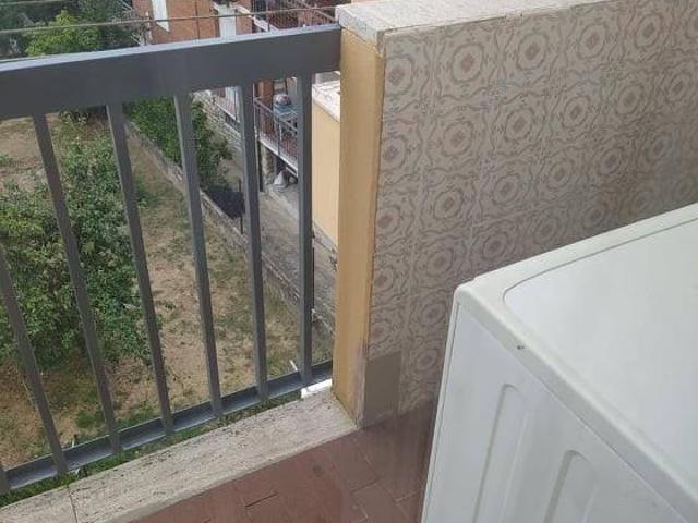 Appartamento in affitto a Pisa PI