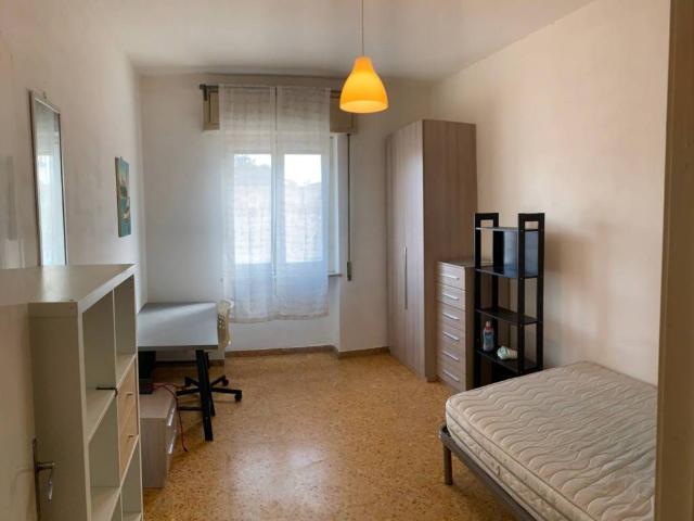 Appartamento in affitto a Pisa PI
