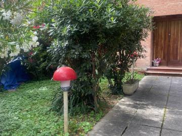 Appartamento in affitto a Pisa PI