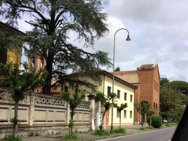 Appartamento in affitto a Pisa PI