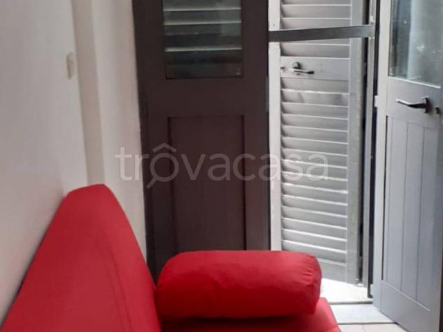 Appartamento in affitto a Pisa via Fiorentina, 155, arredato, balcone, angolo cottura TrovaCasa