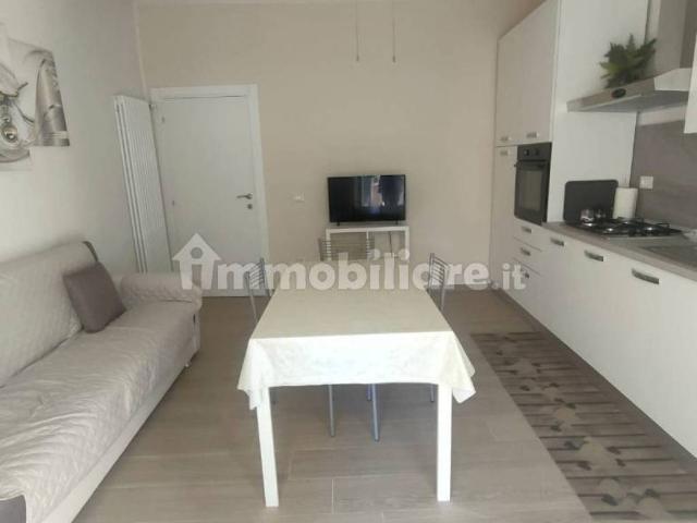 Appartamento in affitto a Pisa via Livia Gereschi, 21, arredato, riscaldamento autonomo, ristrutturato TrovaCasa
