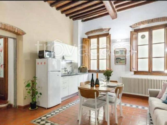 Appartamento in affitto a Pisa via San Martino, arredato TrovaCasa