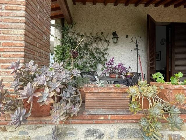 Appartamento in affitto a Pistoia PT