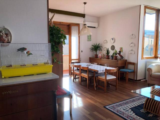Appartamento in affitto a Pistoia PT