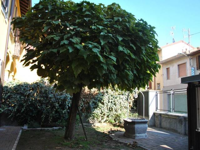Appartamento in affitto a Pogliano Milanese MI